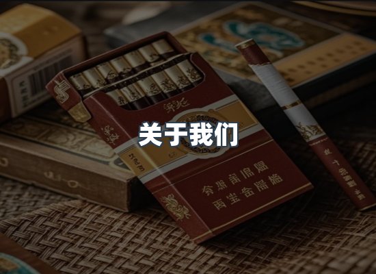 专业团队